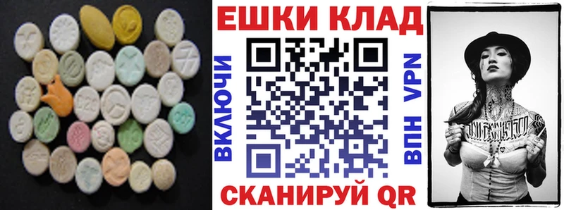 что такое   Каргополь  Экстази диски 