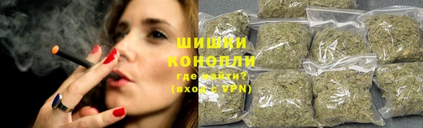 гидра Медногорск