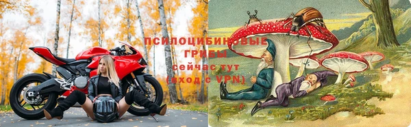 каннабис Медвежьегорск